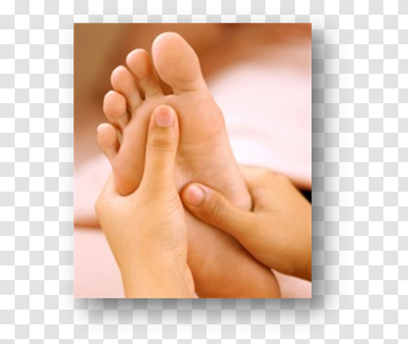 Therapeutic Reflexology: A Step-by-step Guide To Professional Competence Massage Therapy Foot - Watercolor Transparent PNG