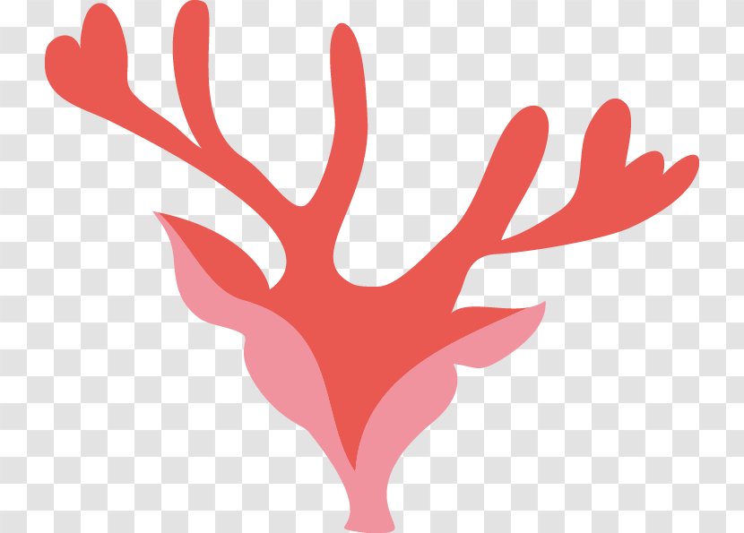 Reindeer Clip Art - Flower - Deer Transparent PNG