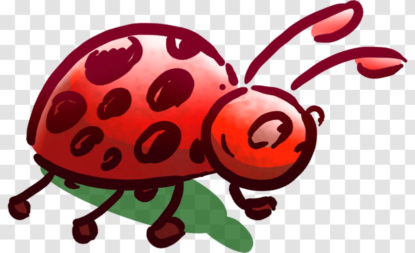 Ladybird Beetle Desktop Wallpaper Drawing Clip Art Transparent PNG