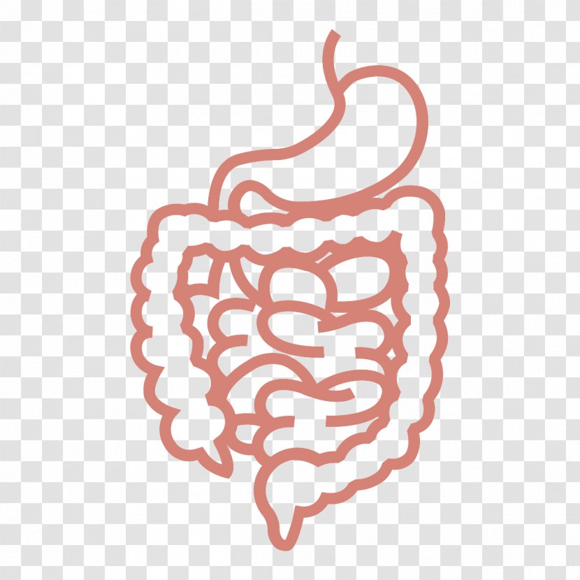 Gastrointestinal Tract Human Digestive System Clip Art - Watercolor - Flower Transparent PNG