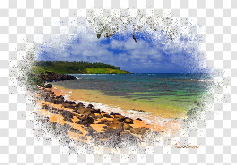 Watercolor Natural - Wave - Tide Paint Transparent PNG