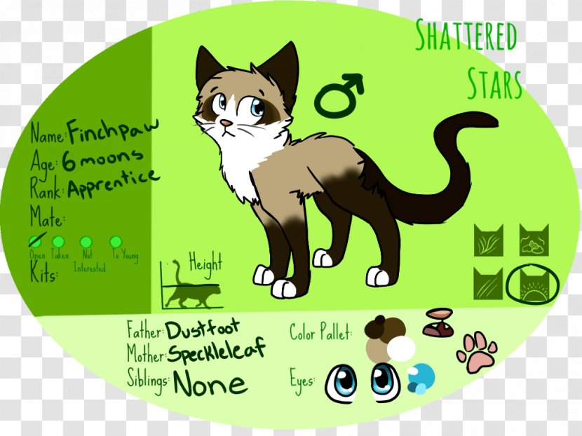 Whiskers Kitten Cat Cartoon Tail Transparent PNG
