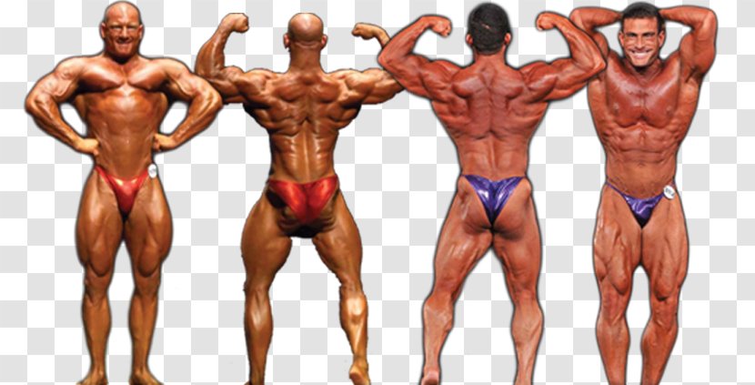 Fitness And Figure Competition International Federation Of BodyBuilding & Pózgatya National Physique Committee - Silhouette - Bodybuilding Boy Transparent PNG