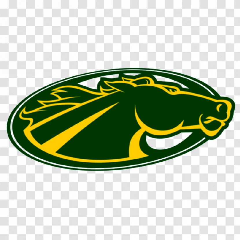 Skidmore College Thoroughbreds Women's Basketball St. Thomas Aquinas University - Area - In The Dormitory Ate Luandun Transparent PNG