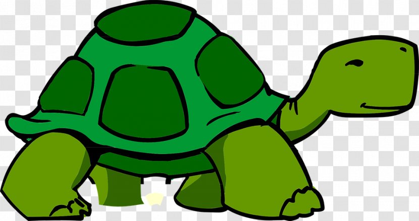 Clip Art - Document - Tortoise Transparent PNG