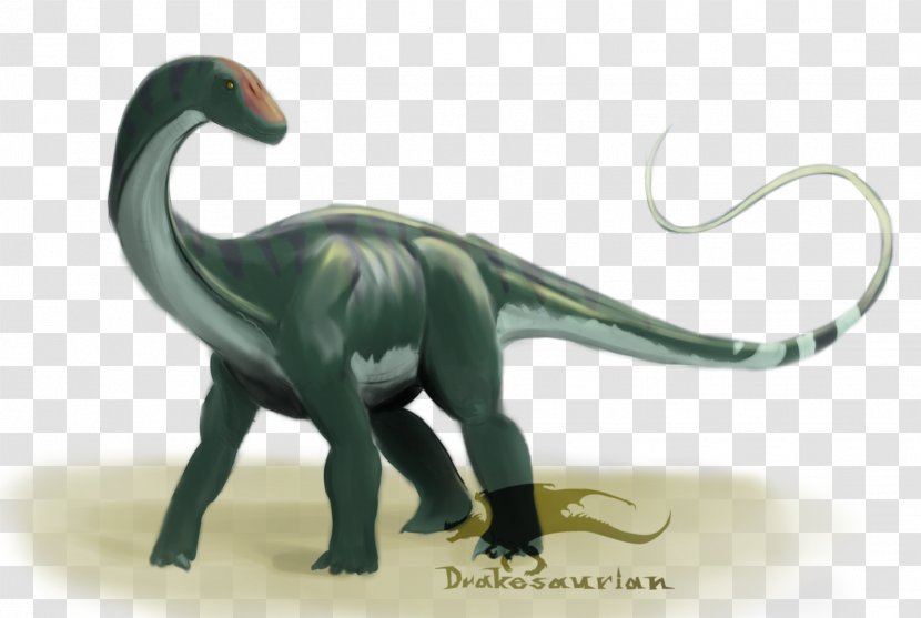 Velociraptor Terrestrial Animal - Extinction Transparent PNG