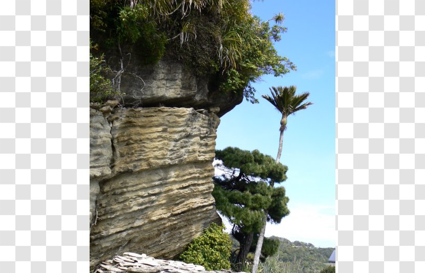 Tree Outcrop Escarpment Tourism Cliff M - Terrain Transparent PNG