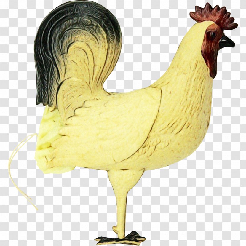Chicken Bird Rooster Comb Poultry - Fowl Animal Figure Transparent PNG