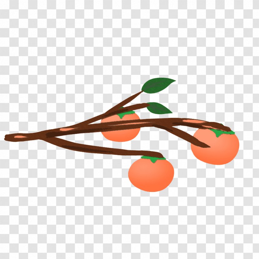 Japanese Persimmon Fruit Illustration Graphics Common - Credit - Orange Transparent PNG