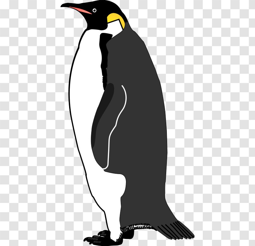 Emperor Penguin Bird Vector Graphics Image - Can Stock Photo - Lovebirds Transparent PNG