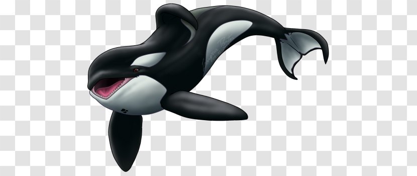 Dolphin Keiko Killer Whale Clip Art - Whales Dolphins And Porpoises Transparent PNG