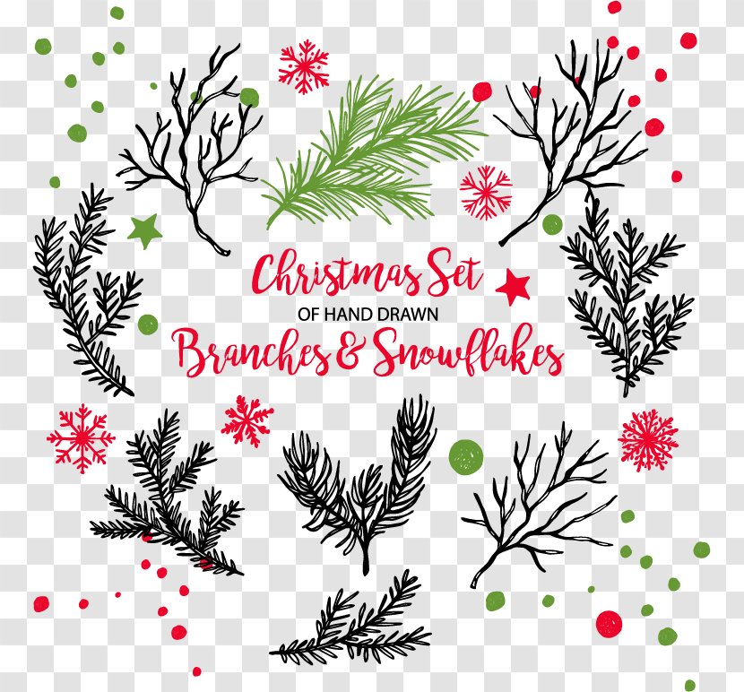 Christmas Tree Branch - Flower - Winter Decorative Hand-painted Flowers Transparent PNG