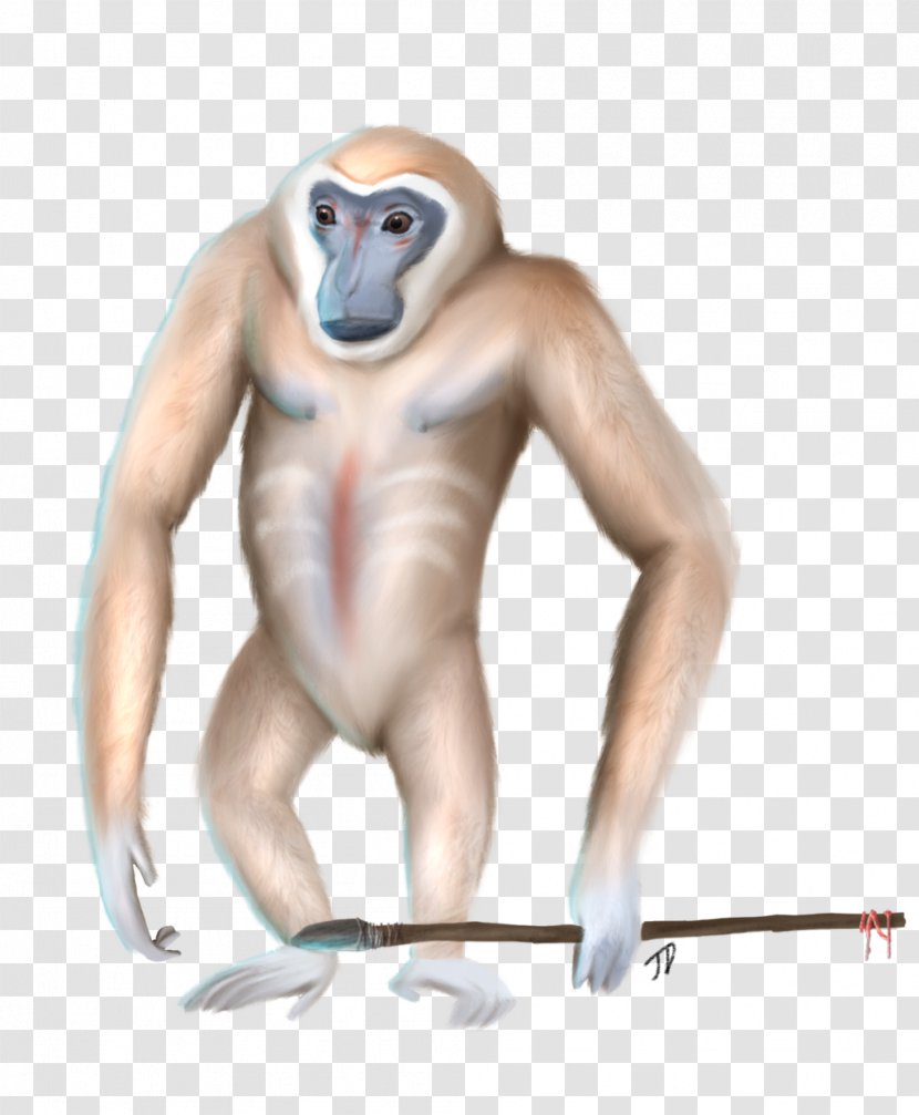 Human Gibbon Planet Of The Apes Monkey Art - Cartoon - Ape Transparent PNG