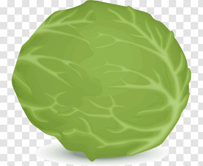 Iceberg Lettuce Leaf Vegetable Clip Art - Cabbage Transparent PNG