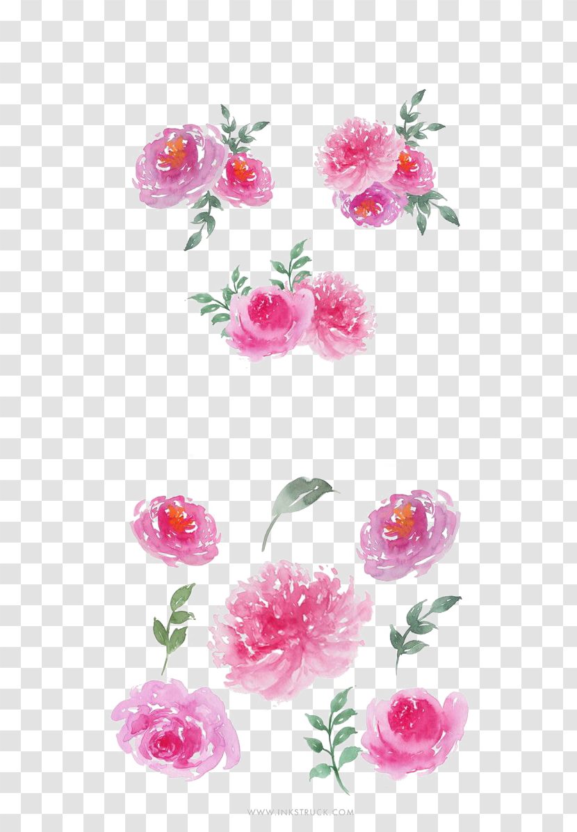 Garden Roses Watercolour Flowers Watercolor Painting - Plant - Ink And Flower Decoration Transparent PNG