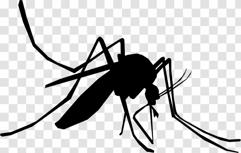 Mosquito Control Insect Natural Enemies Health Professional - Wing - Line Art Transparent PNG