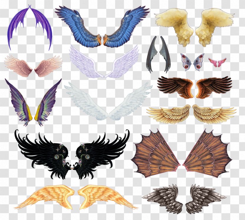 The Explorer's Guide To Drawing Fantasy Creatures Clip Art - Beak - Wings Transparent PNG