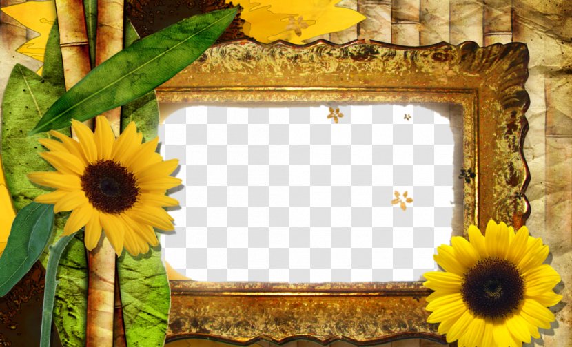 Tollywood Quiz New Android - Cartoon - Sunflower Border Picture Material Transparent PNG