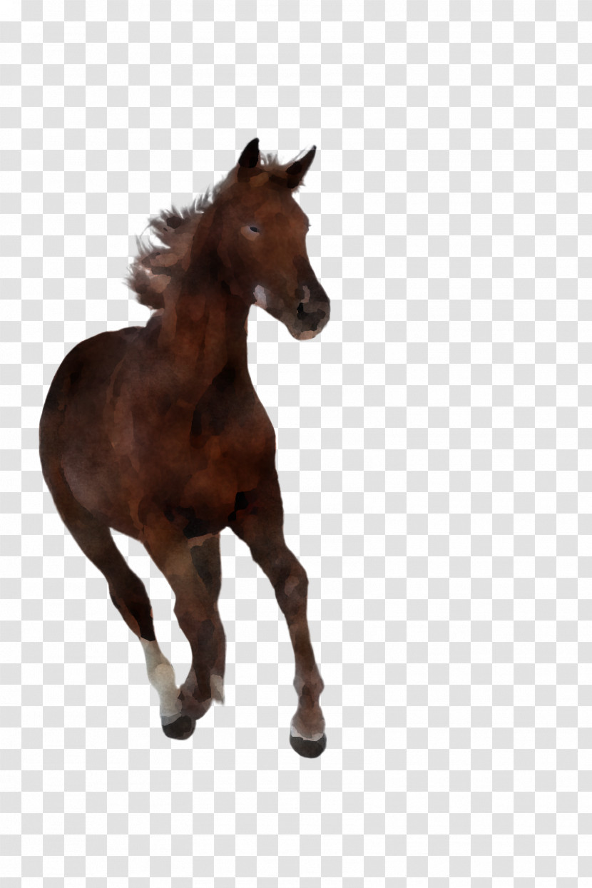 Horse Animal Figure Mane Brown Sorrel Transparent PNG