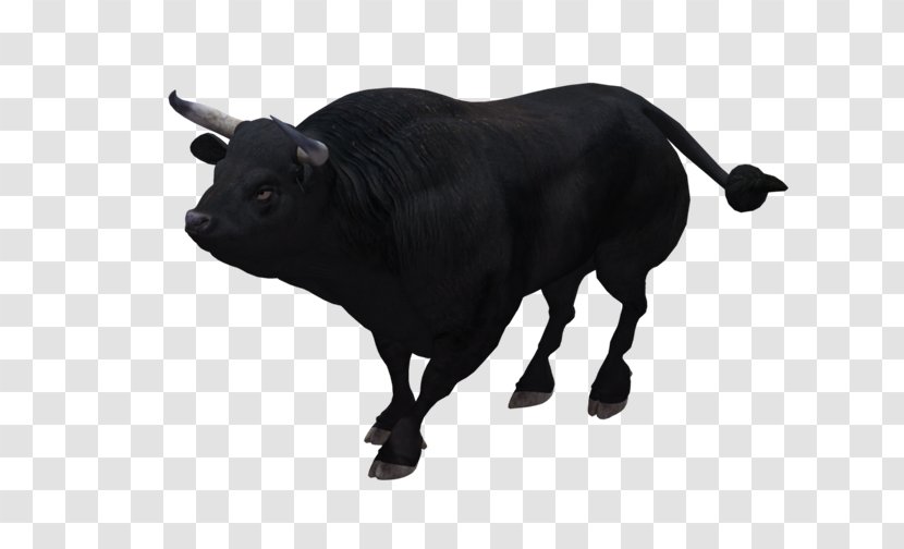 Bull Cattle Ox Animal PhotoScape - Toros Transparent PNG