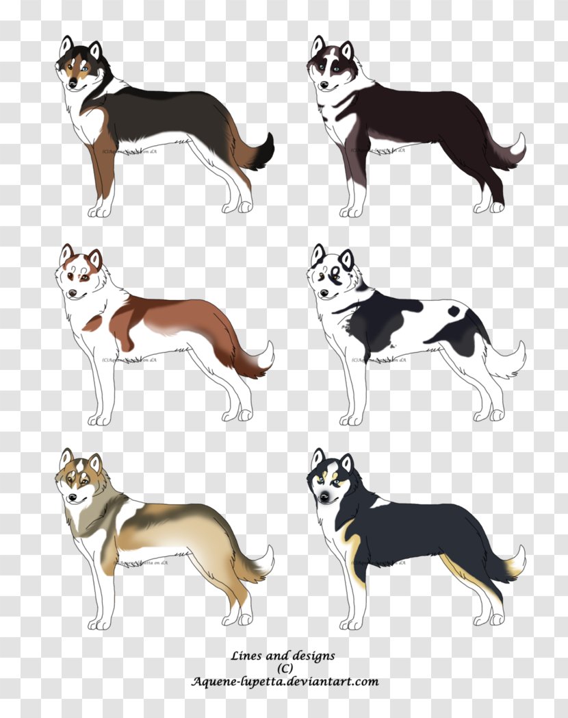 Dog Breed Cartoon - Fauna - Siberian Husky Transparent PNG