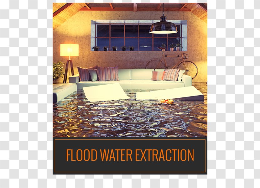 Flood Insurance Water Damage Cleaning Risk Assessment - Indoor Mold - Carpet Day Transparent PNG