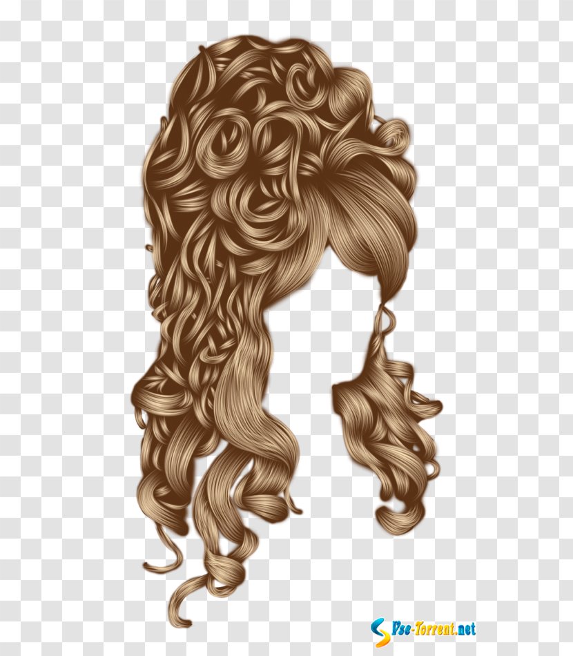 Long Hair Wig Hairstyle Capelli Transparent PNG