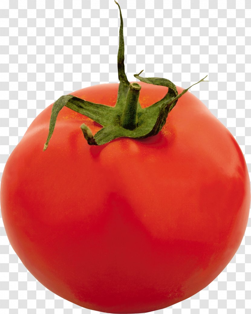 Pomodoro Technique Vegetable Food San Marzano Tomato - Peperoncini Transparent PNG