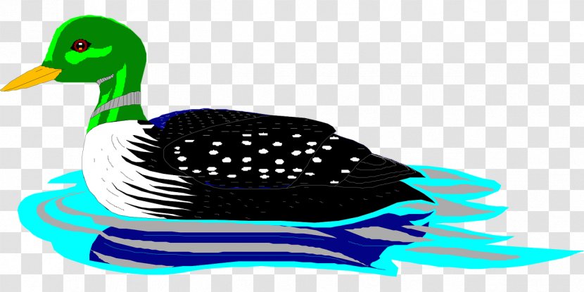 Clip Art Openclipart Vector Graphics Common Loon Duck - Ducks Geese And Swans Transparent PNG