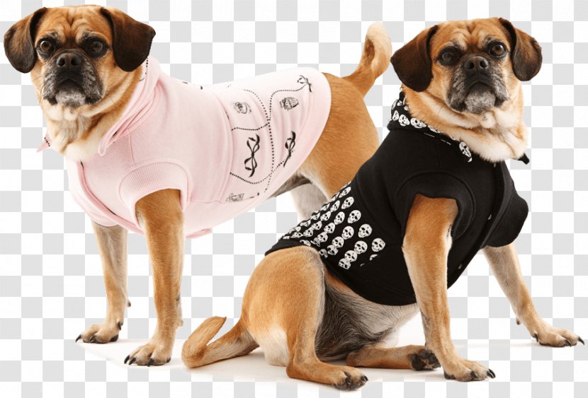 Puggle Puppy Dogs Refuge Home Dog Breed - Like Mammal Transparent PNG