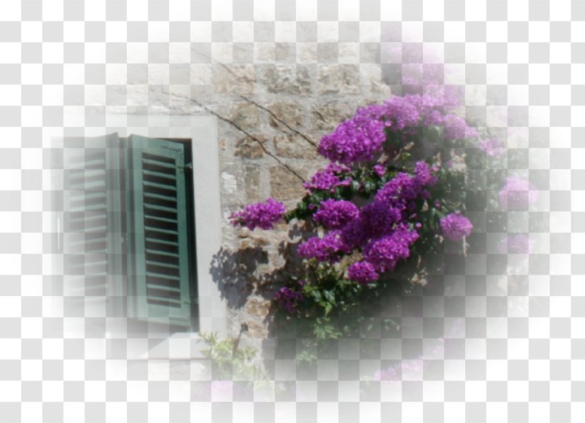 Flower Google Images Butterfly - Violet Transparent PNG