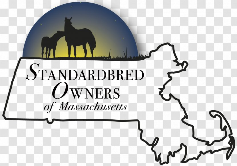 Standardbred Dog Massachusetts Foal Horse Racing - Carnivoran Transparent PNG