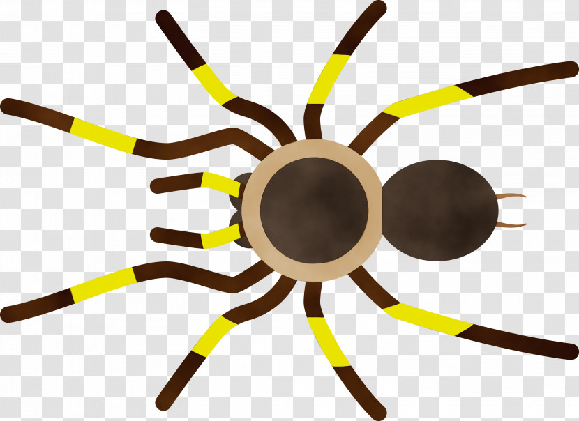 Insect Yellow Line Transparent PNG