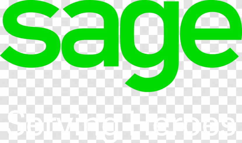 Sage Group Business Enterprise Resource Planning MAS 90 - Partner - Kate Hudson Transparent PNG