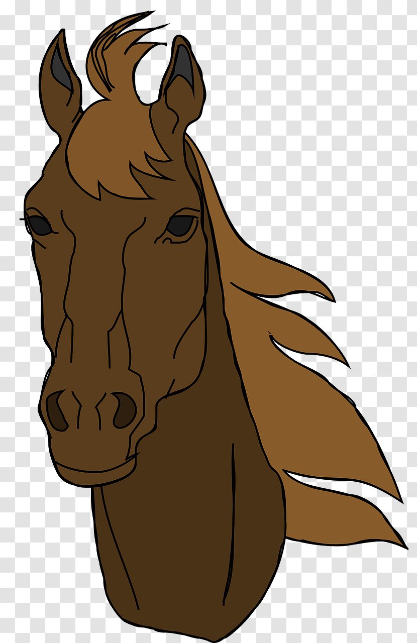 Arabian Horse American Quarter Mustang Clip Art Transparent PNG