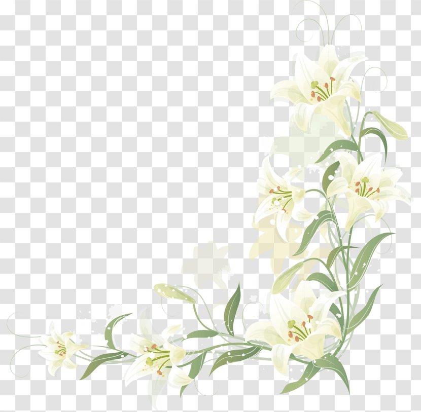 Floral Design Cut Flowers Image Clip Art - Rose - Lily Border Transparent PNG