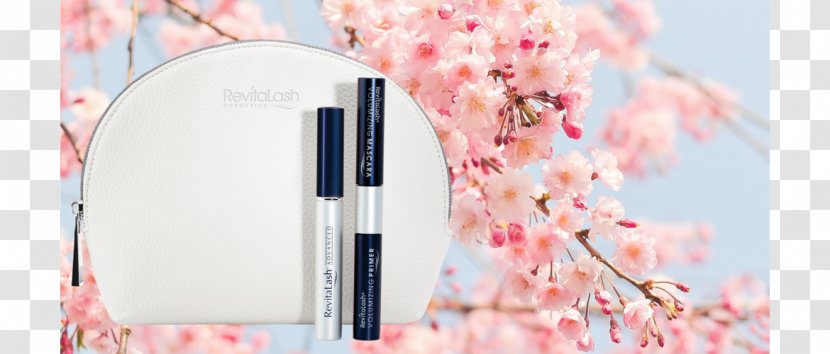 Flower Cherry Blossom Cerasus El Cerezo En Flor Hanami - Esthetic Cosmetology Transparent PNG