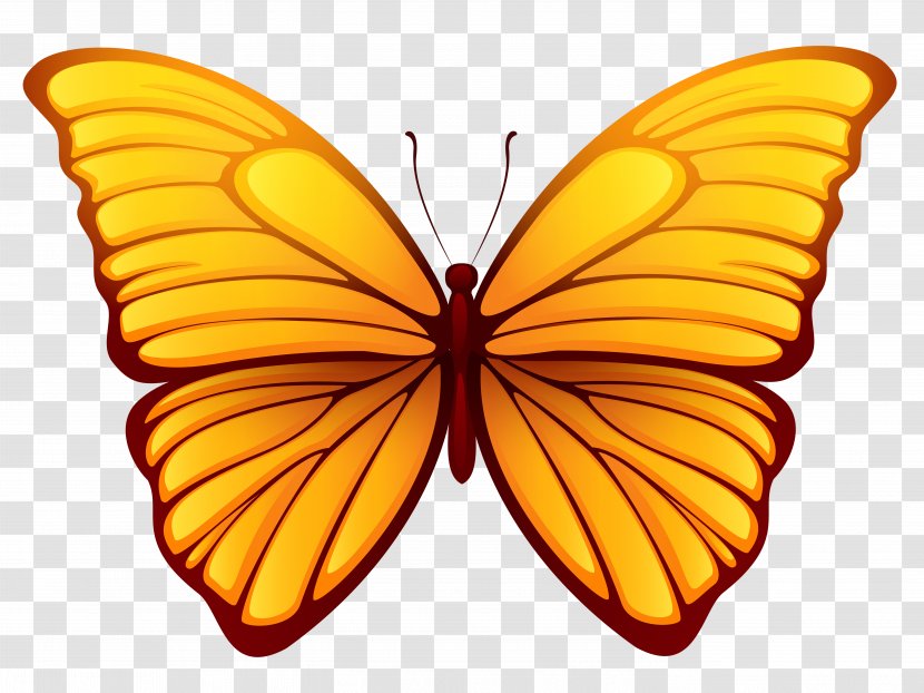 Butterfly Clip Art - Pollinator - Picture Transparent PNG