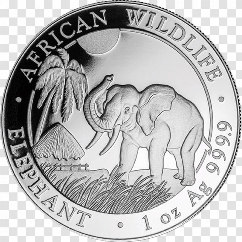 Somalia Silver Coin Bullion Gold - Canadian Maple Leaf - Bar Transparent PNG