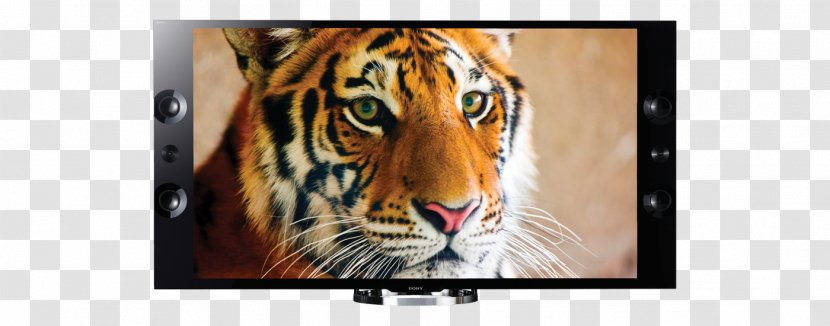 4K Resolution Ultra-high-definition Television Sony - Photography Transparent PNG