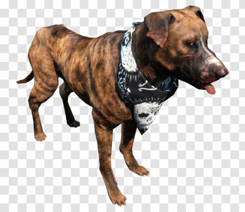 American Pit Bull Terrier Fallout 4: Far Harbor Fallout: New Vegas - Fall Out 4 Transparent PNG