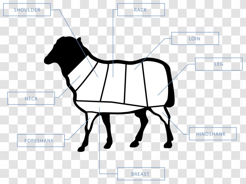 Cattle Horse Halter Pack Animal Goat - Diagram - Lamb Chops Transparent PNG