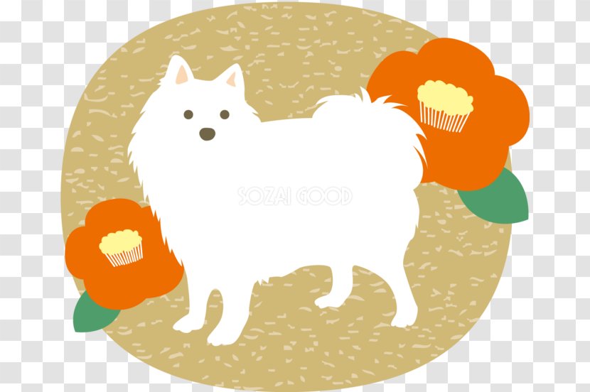 Pomeranian Whiskers Dog Breed - Asaka Transparent PNG