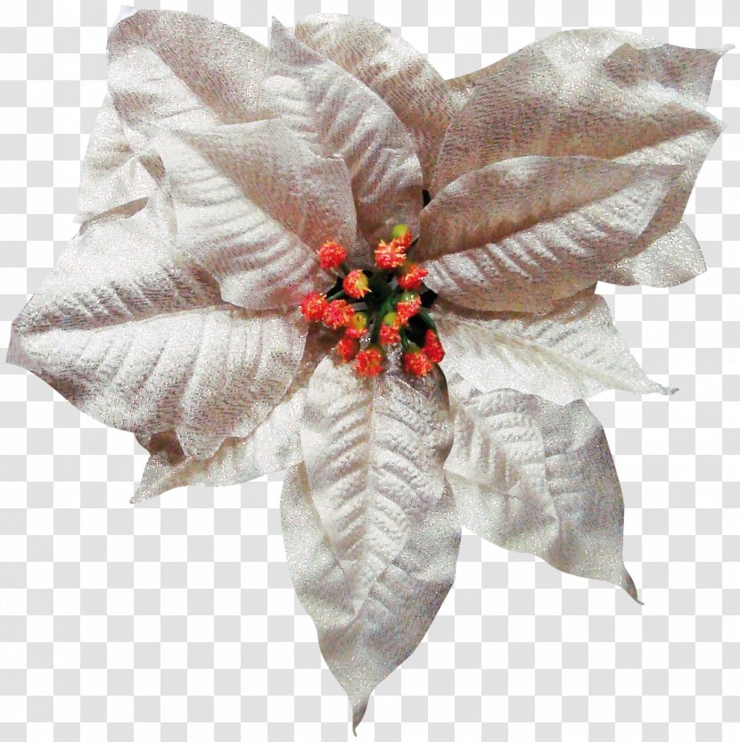 Cut Flowers Petal - Festivals Transparent PNG