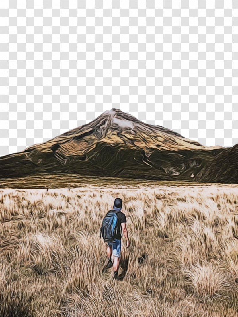 Grassland Hill Fell Grass Family Landscape - National Park Soil Transparent PNG