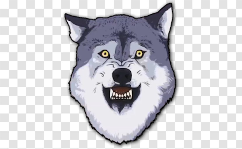 Gray Wolf Coub YouTube Snout - Head - Animated Film Transparent PNG