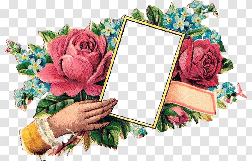 Garden Roses Bokmärke Flower Gift Clip Art - Rose Order Transparent PNG