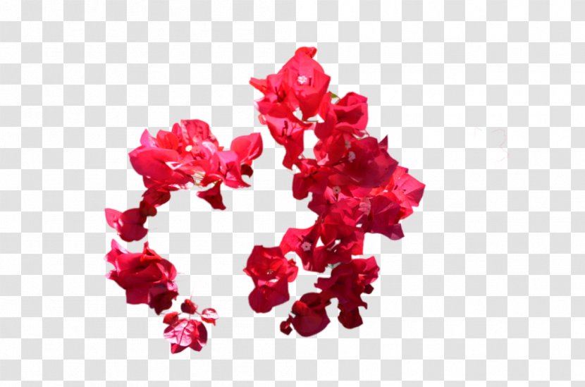 Red Flower Clip Art - Petal Transparent PNG