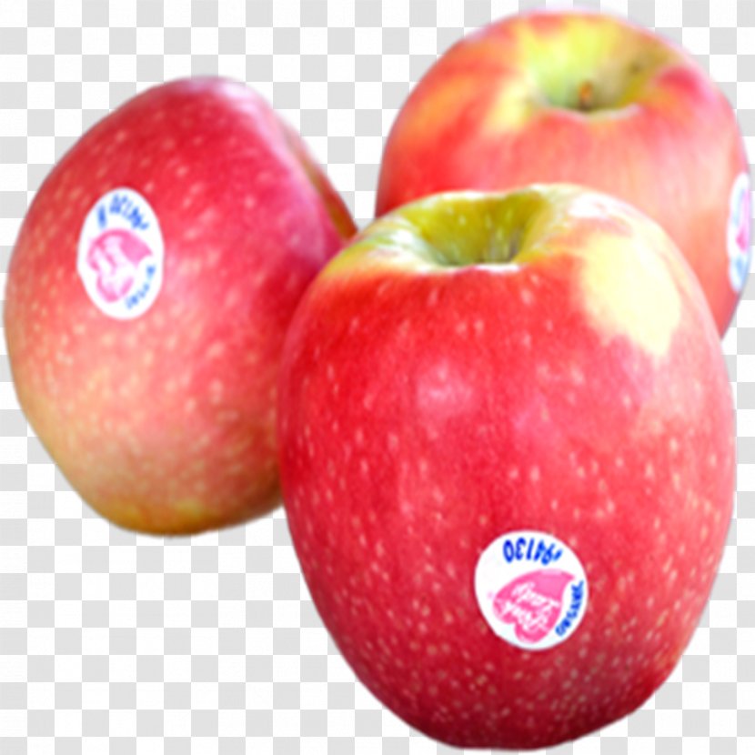 Cripps Pink Apple Fruit Pearl Gala - Apples - Seasonal Vegetables Transparent PNG