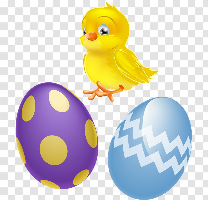 Chicken Easter Egg Clip Art - Cartoon - Chickens And Eggs Transparent PNG
